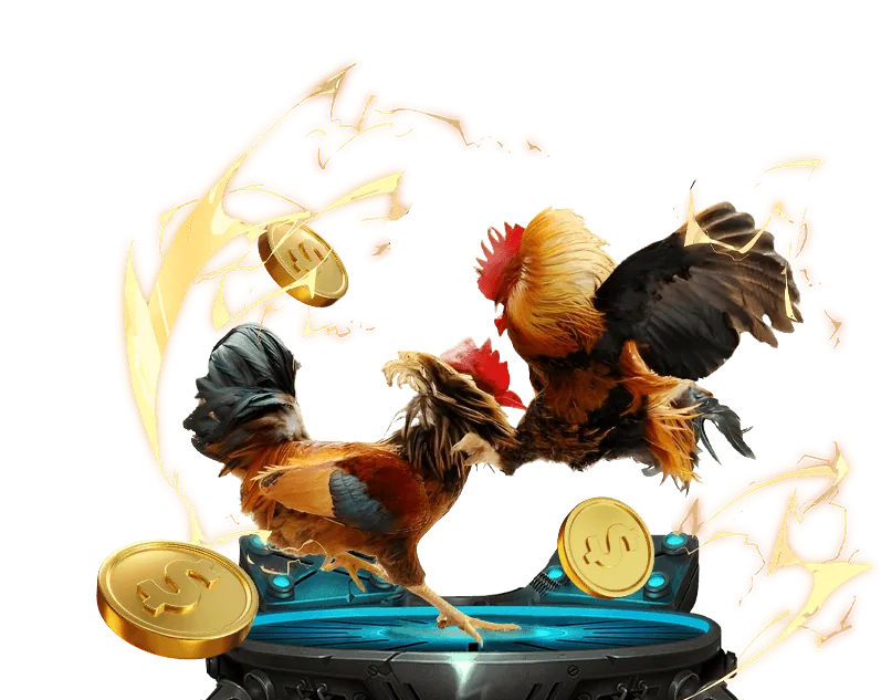 Hoàn trả cược thể thao abcvip